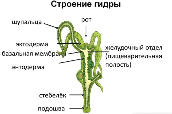 Kraken21 at сайт